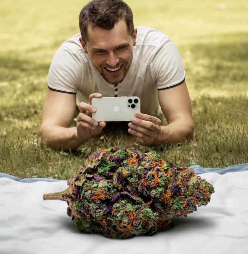 Top₿oy🍃🎖️ tweet media