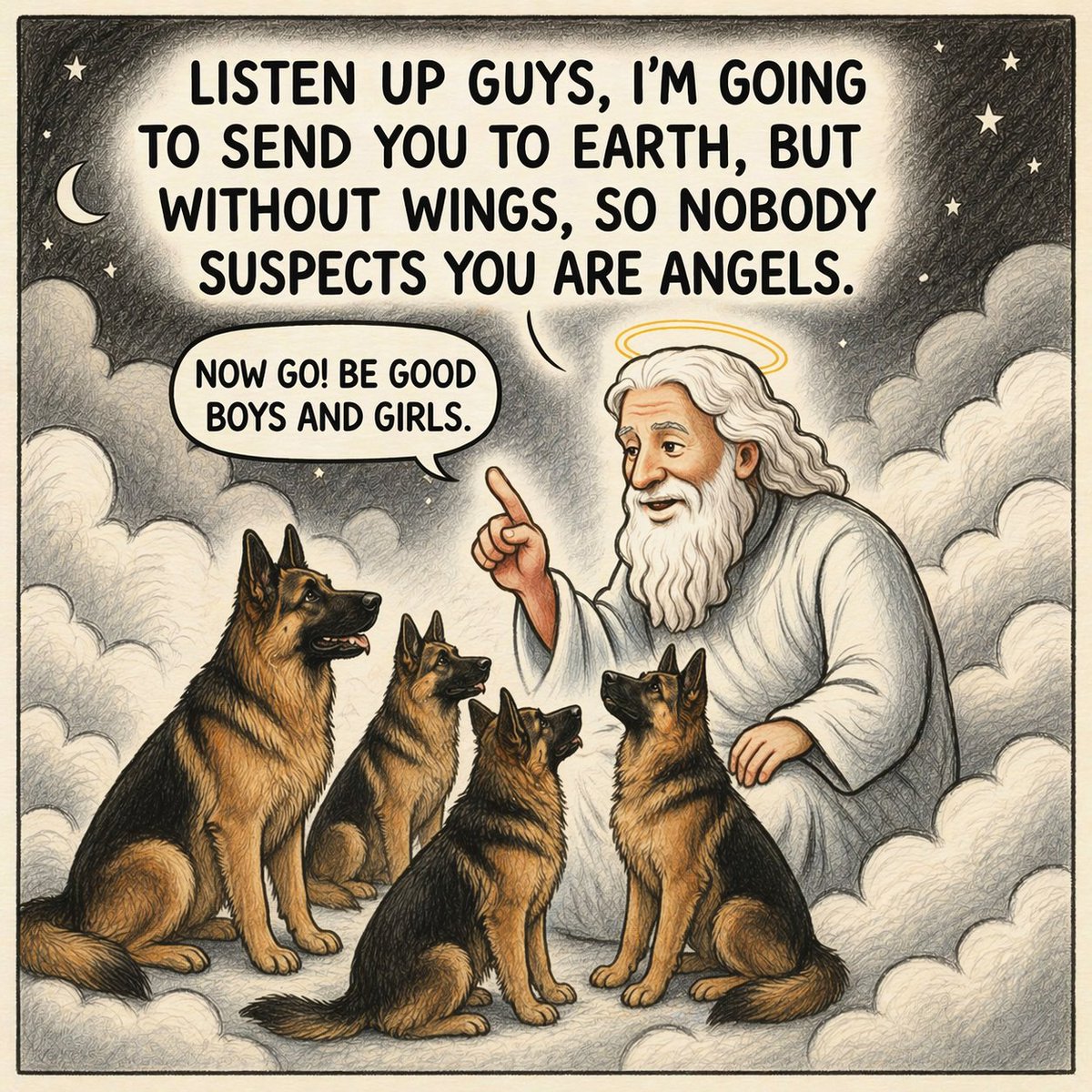 GERMAN SHEPHERD (@gsd_fan_club) on Twitter photo 