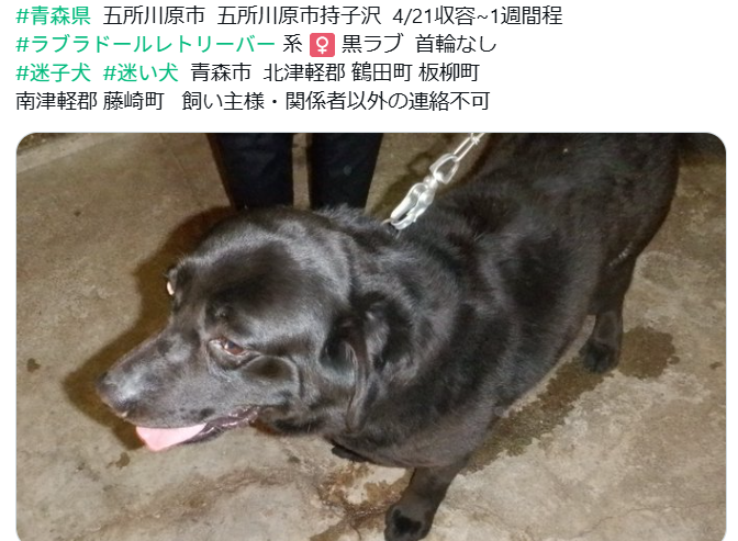 くるみmama tweet media