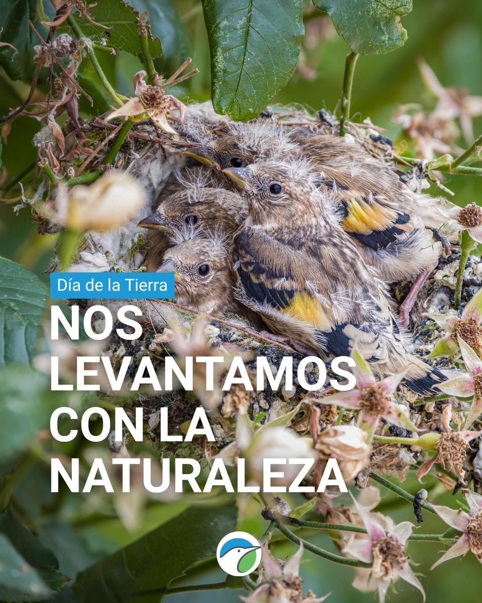 SEO/BirdLife tweet media