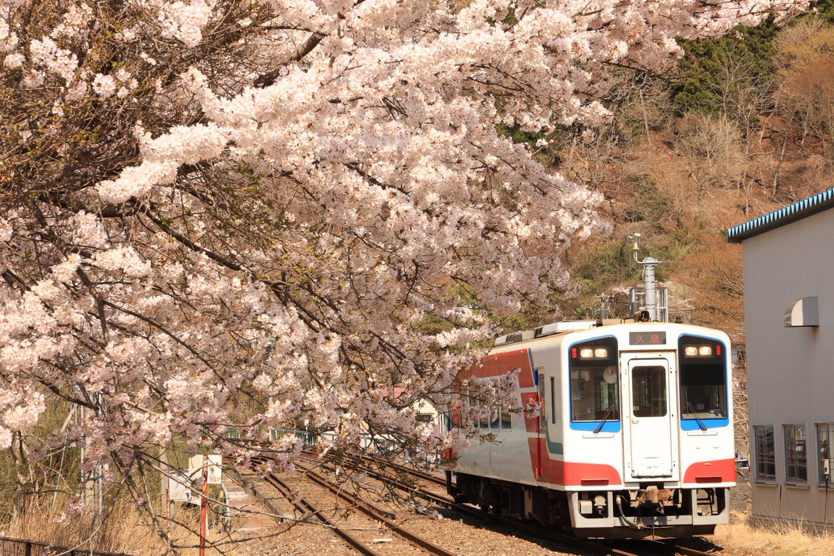 リアス潮風 tweet media