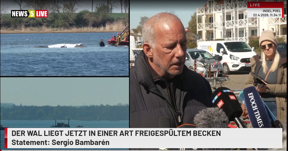 Jetzt spricht der "#Walflüsterer" #Sergio vor den Kameras zum Thema #Buckelwal #Timmy/#Hope