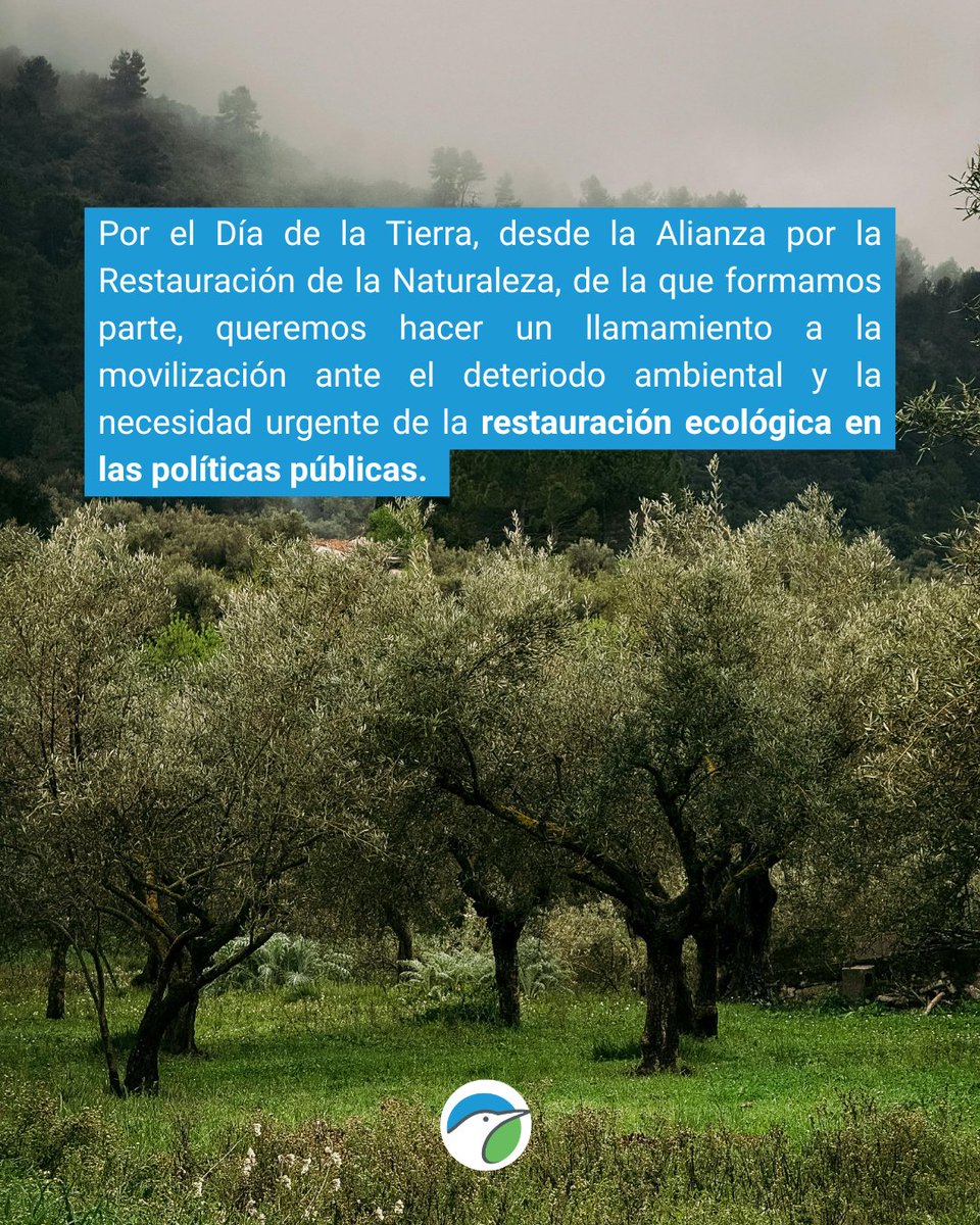 SEO/BirdLife tweet media