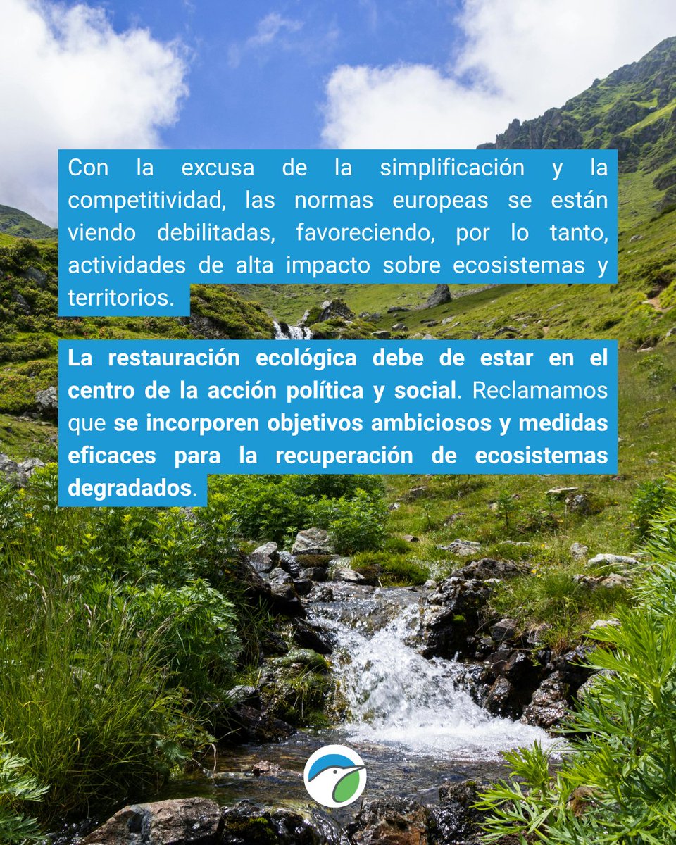 SEO/BirdLife tweet media