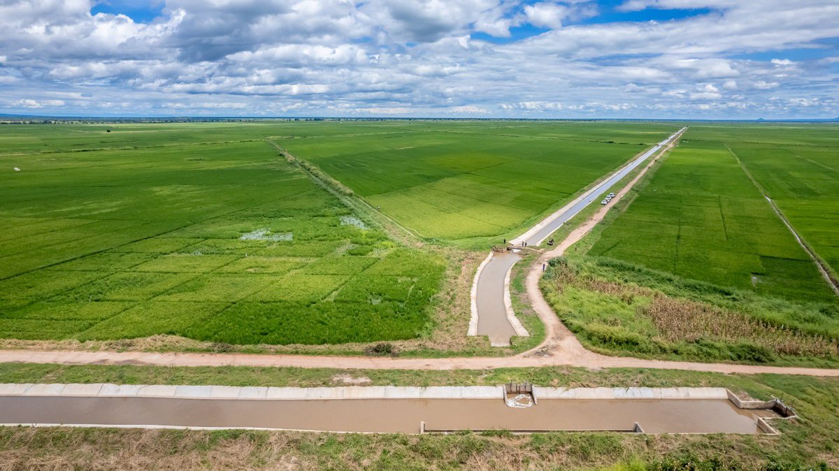 cousin 420 tweet media