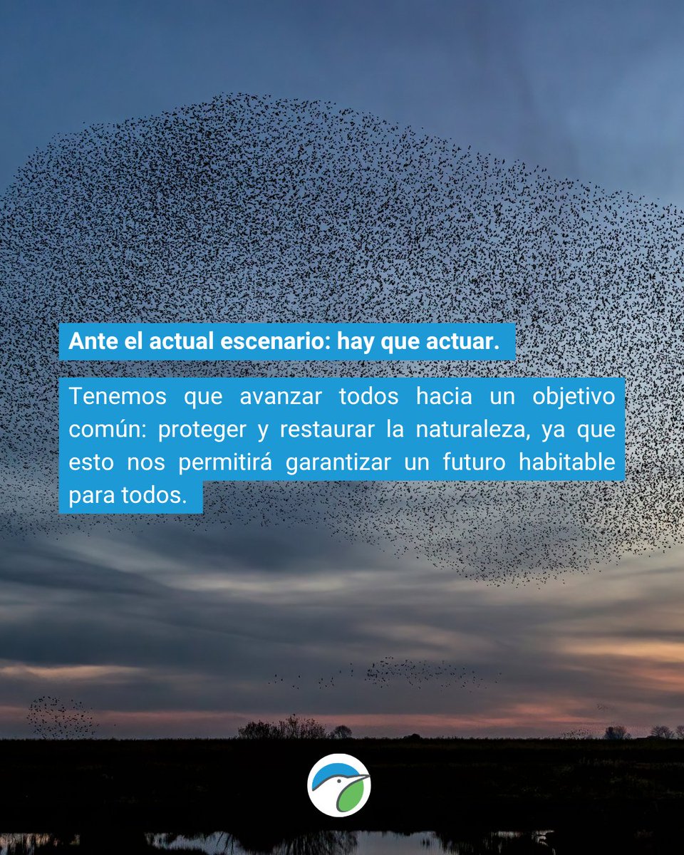 SEO/BirdLife tweet media