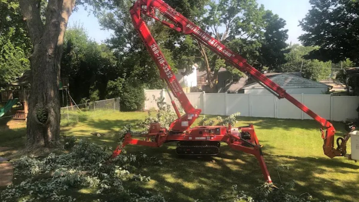 LawnPerkin10967's tweet image. How Tree Care Saves Money?

 Tree care prevents bigger costs later. Small issues can turn into expensive damage if ignored.

✔️ Prevent property damage
✔️ Avoid emergency removal costs
✔️ Extend tree life

Regular care keeps trees safer and expenses lower.

#TreeCare #SaveMoney