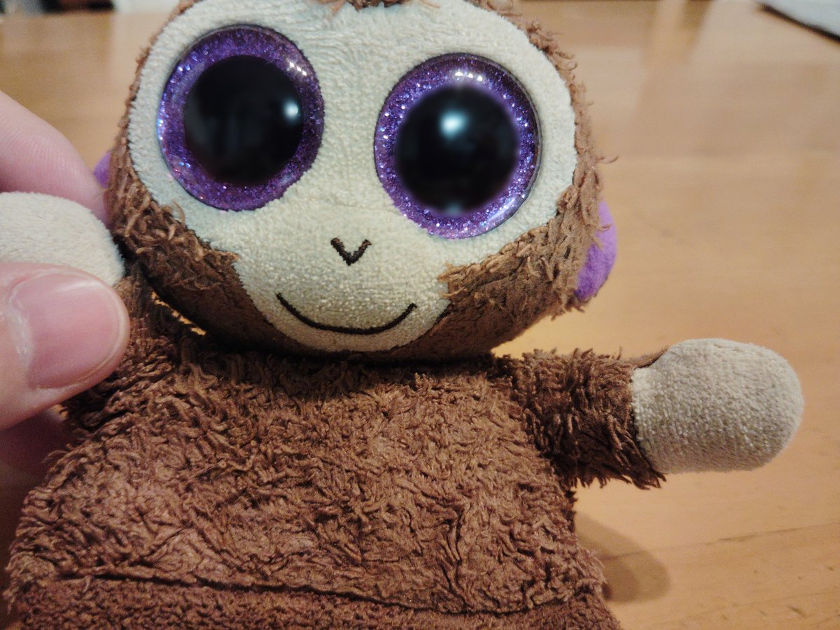 🐒の日常(ティア)with主さん！ tweet media