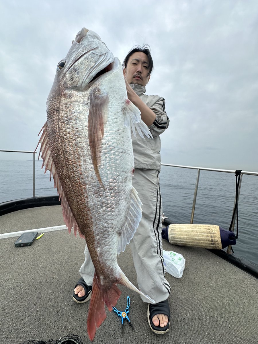 シマ鯛 5/18 マダイ、シマアジ船 | 伊豆下田須崎港 爪木丸