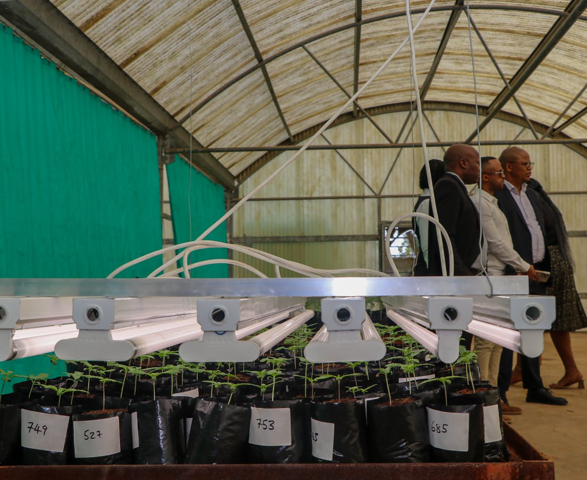 Botswana Investment and Trade Centre tweet media