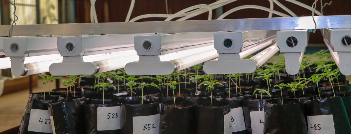 Botswana Investment and Trade Centre tweet media