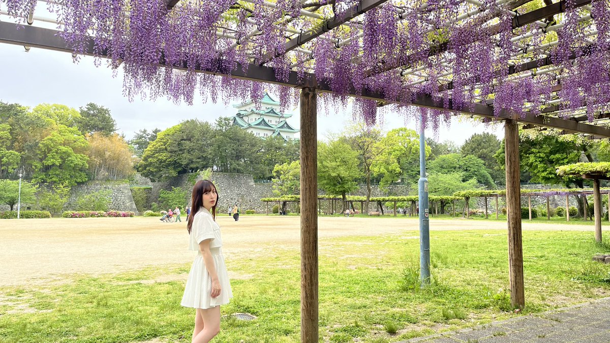 おいでよ名古屋@おいなご tweet media