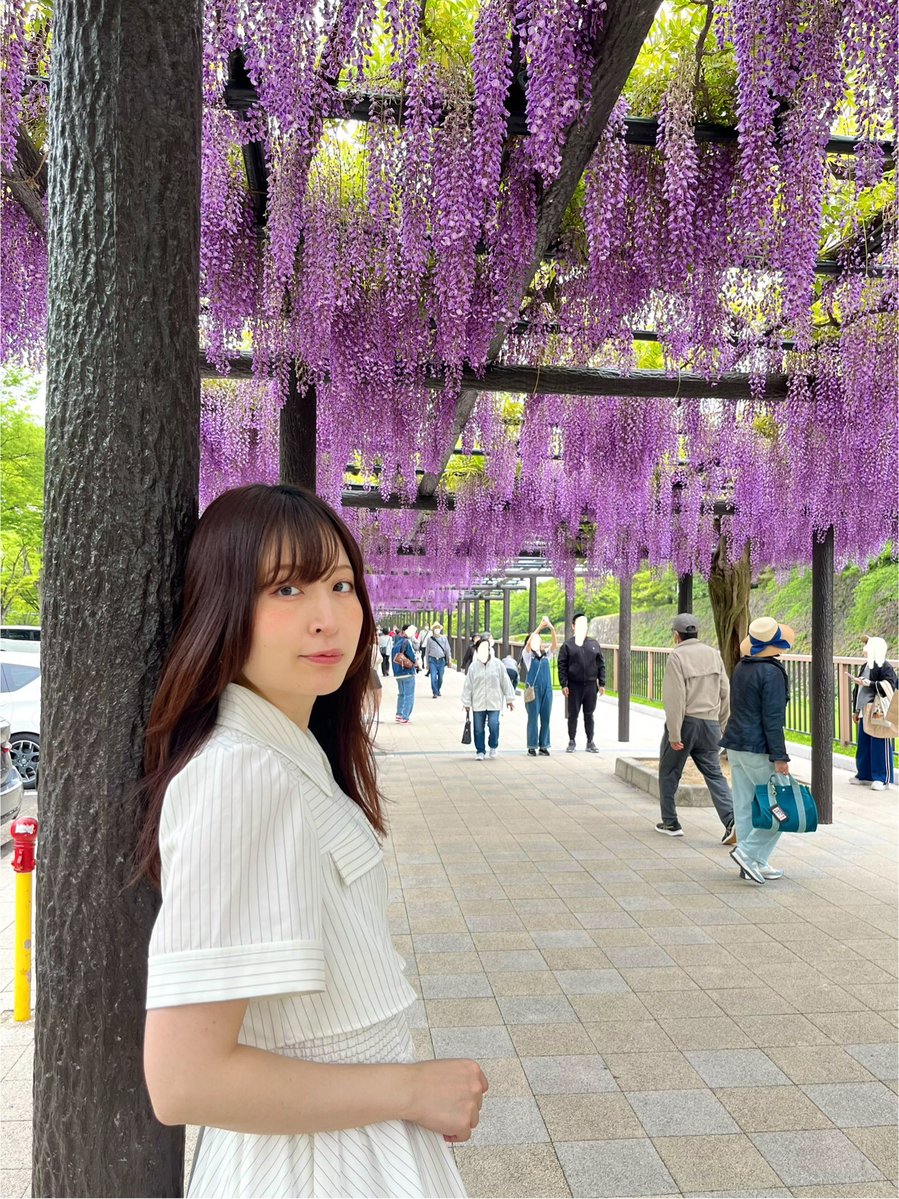 おいでよ名古屋@おいなご tweet media