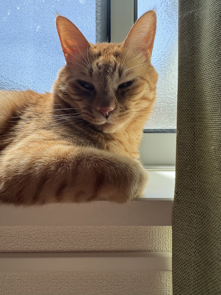 つどい🏴‍☠️🚿福岡2days tweet media