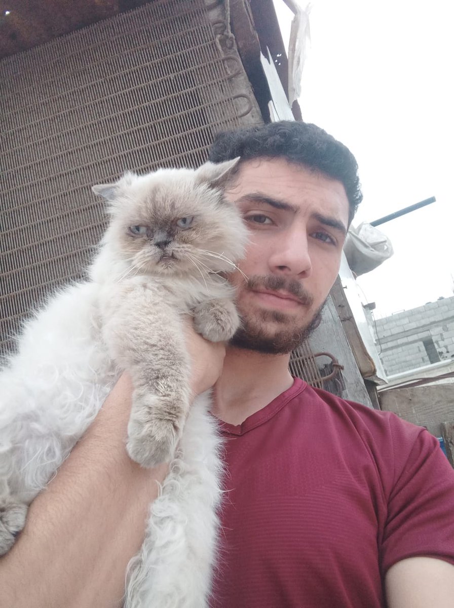 abod in Gaza🇵🇸 tweet media