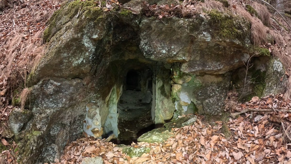 蓮水柊斗/SyutoHasumi tweet media