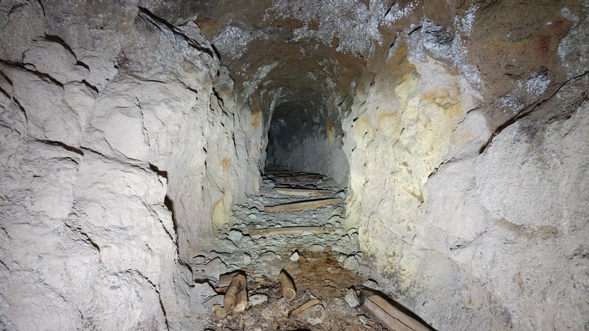 蓮水柊斗/SyutoHasumi tweet media