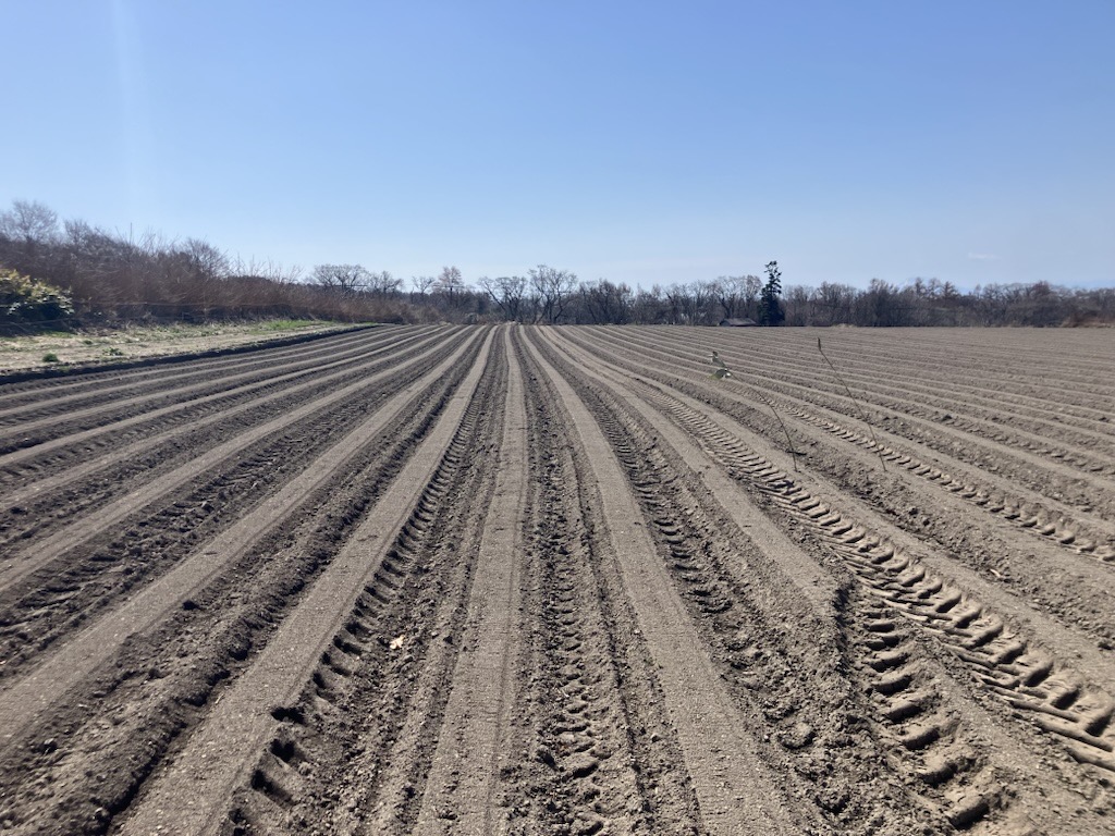 CalbeePotato(カルビーポテト)公式 tweet media