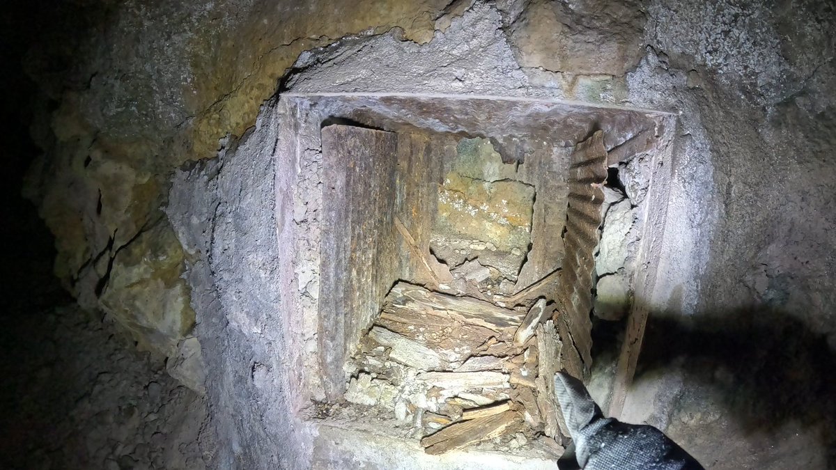 蓮水柊斗/SyutoHasumi tweet media