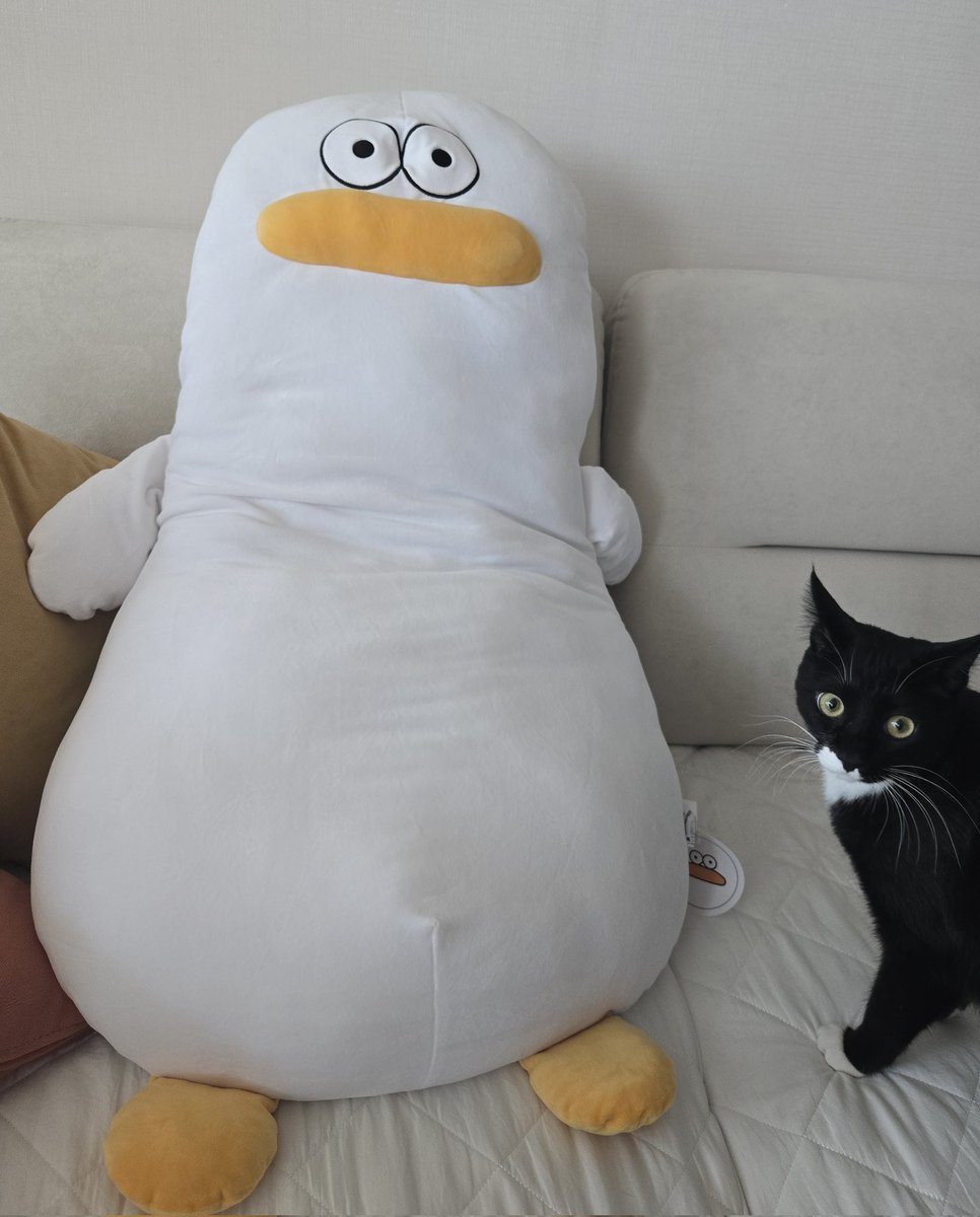 체다썸🍬Tepe tweet media