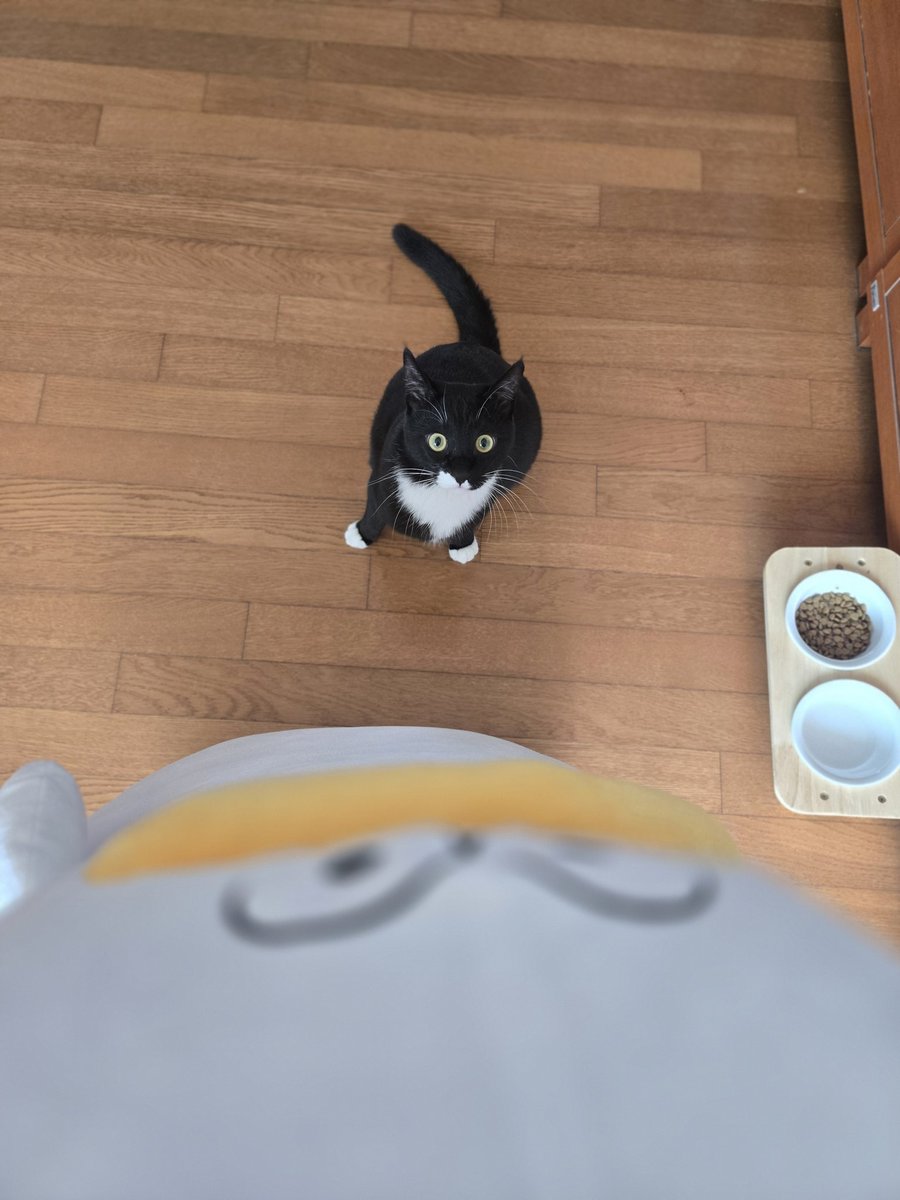 체다썸🍬Tepe tweet media