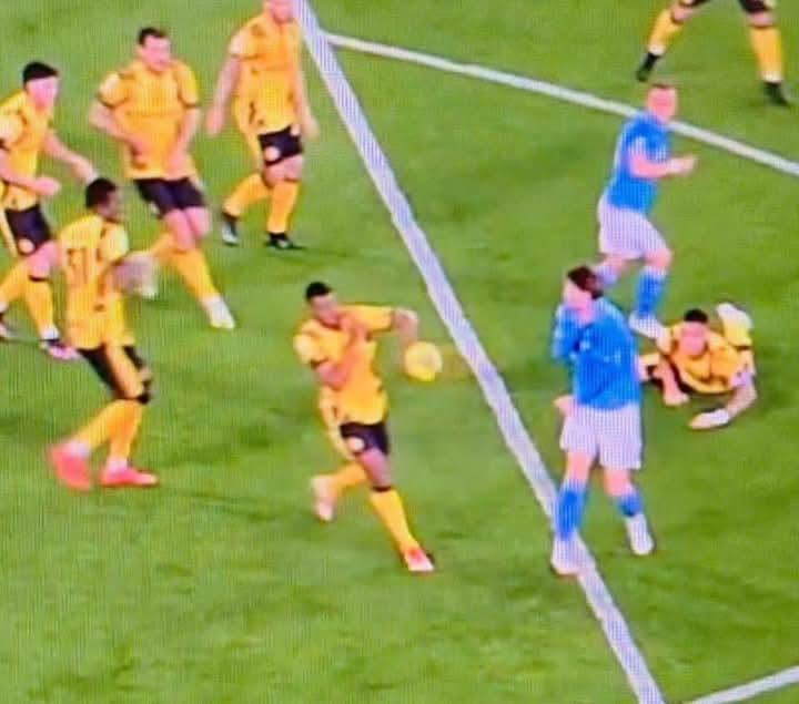 Emiliovski 🦓 tweet media