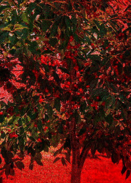 '𝘾𝙖𝙪𝙨𝙚 𝙄'𝙢 𝙗𝙡𝙚𝙚𝙙𝙞𝙣' 𝙤𝙪𝙩 tweet media