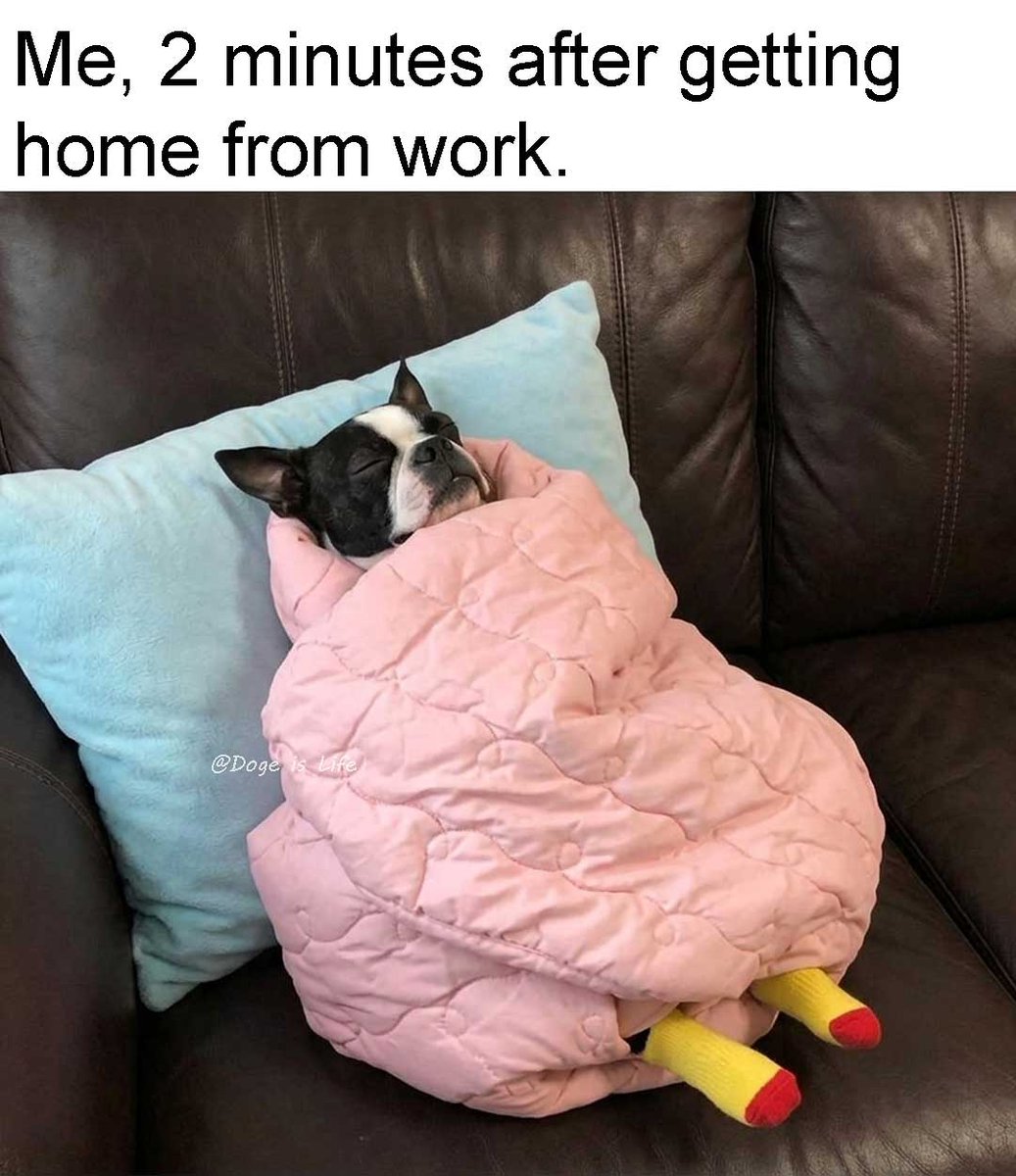 Doge_Is_Life_'s tweet image. Pfff, 2 minutes?? I'm out in 30 seconds flat. 😂
#dogmeme #dogmemes #memes #meme #funnymemes #funnydogs #DogeisLife #funny