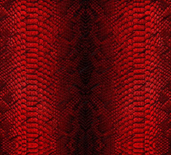 drypdesigns's tweet image. 💧Red Snakeskin Seamless Digital Paper Background Texture - Python Snakeskin Digital Background PNG - Digital Download Files by drypdesigns💧ift.tt/BeASXPn #drypdesigns #digitaldownload #digitalart #graphicdesign #PNG