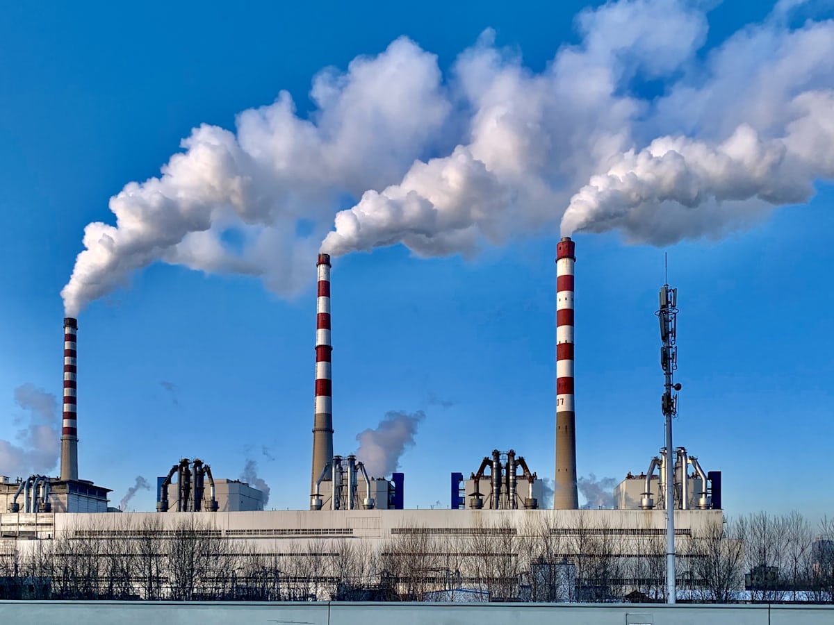 La sustancia negra/vacunaCOVID fue un componente para hacerte compatible con la IA. Para los q no se inyectaron la élite utilizó:

Aerosoles: Nanopartículas bario/aluminio
Food Procesada: Quelatos metálicos
Red Eléctrica: Hum 60Hz

El 98% tiene suficiente metal para ser asimilado