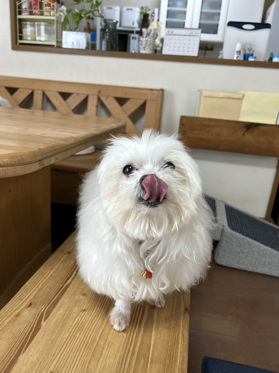 ハルくん tweet media