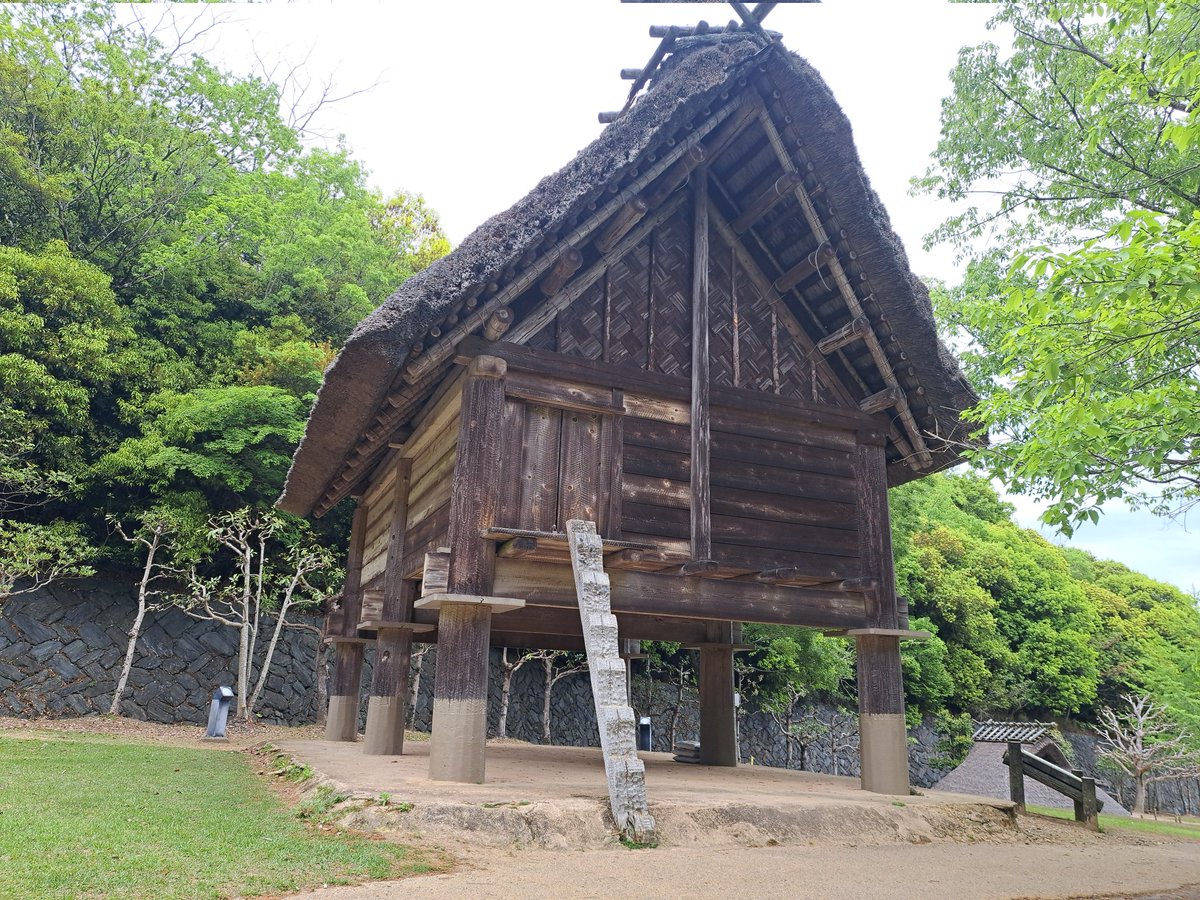 yama_kage tweet media