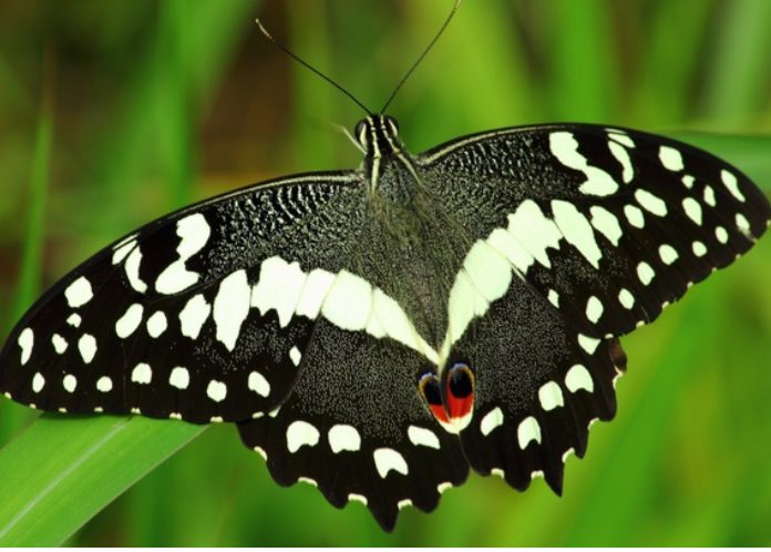 MISS TOURISM UGANDA-PA tweet media