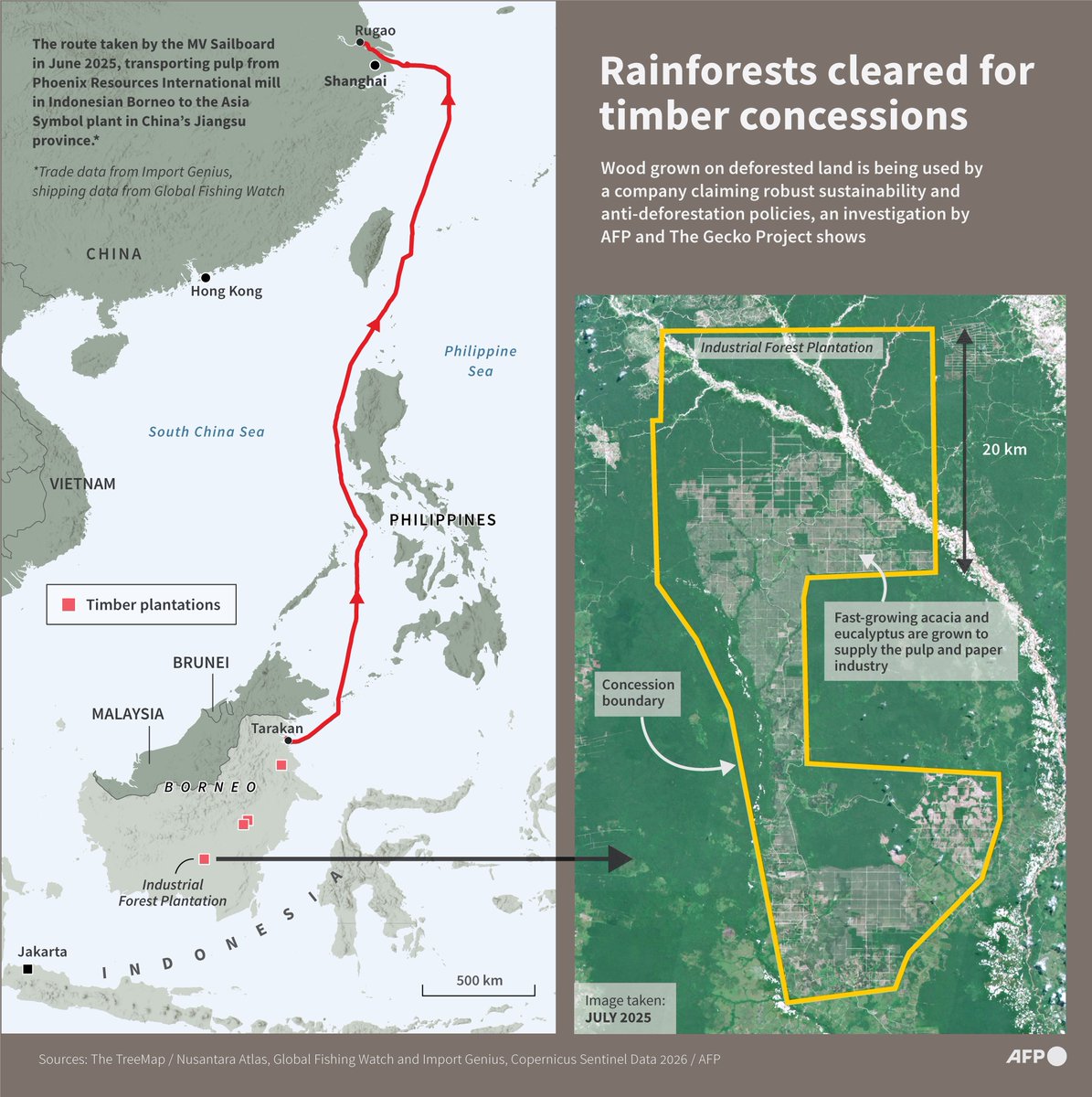 Rainforests cleared for timber concessions

AFP Infographic map tracking the delivery of pulp wood from Indonesian forestry concessions to a Chinese packaging facility