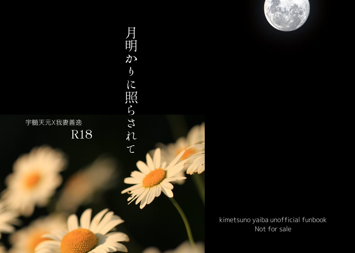 無配を無事に脱稿しました🥰
2021年にはじめて書いたシリーズもの？です。
ちょっと気になる部分は加筆修正しました！😂
スケベあるので🔞です！よろしくお願いいたします🙏

ﾀｨｼｮ💎⚡️22p
ラストシーンで⚡️の死の回想シーンがありますので、苦手な方は読まないか受け取らないほうが無難です。