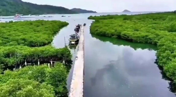 DARI NATUNA UNTUK INDONESIA. BUMDesa Desa  Air Ringau di Ujung Utara Negeri  berinovasi membudidayakan kepiting untuk kesejahteraan warga
<a href="/YandriSusanto/">Yandri Susanto</a>
<a href="/KemensetnegRI/">Sekretariat Negara</a>
<a href="/bpsdmkemendesa/">Bpsdm Kemendesa</a>
#BPSDMKementerianDesaPDT
 #KerjaTPPBerdampak #BUMDesaMensejahterakanRakyat