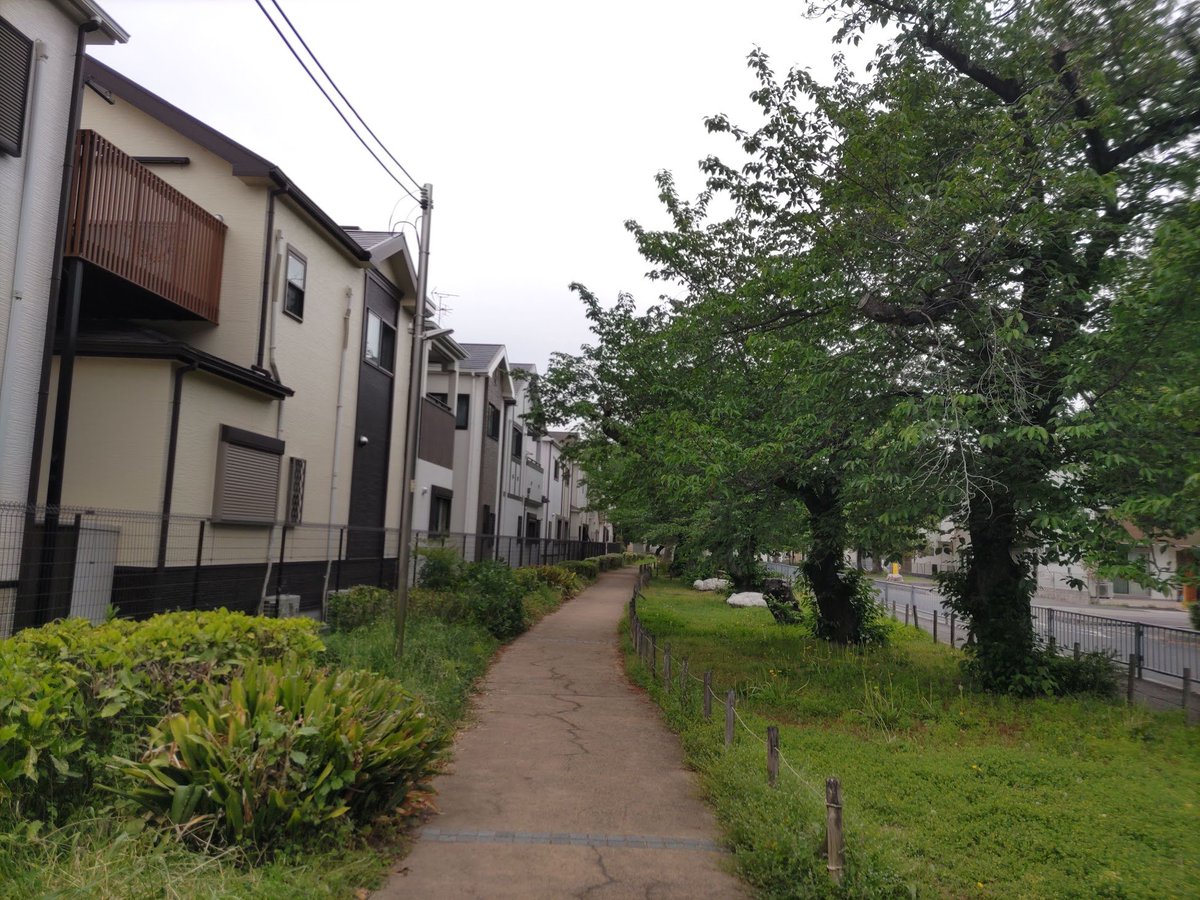 ながす tweet media