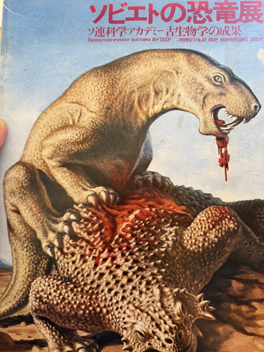 みっちん tweet media