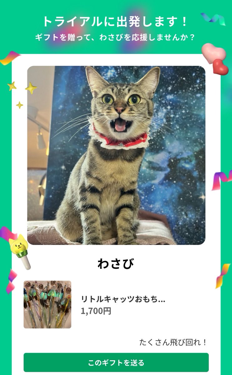 ネコノート【公式】保護猫支援サービス🐈 tweet media