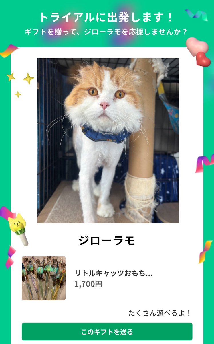 ネコノート【公式】保護猫支援サービス🐈 tweet media
