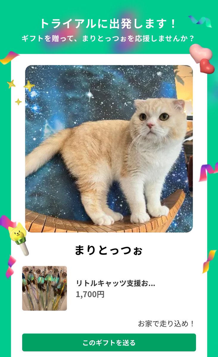 ネコノート【公式】保護猫支援サービス🐈 tweet media
