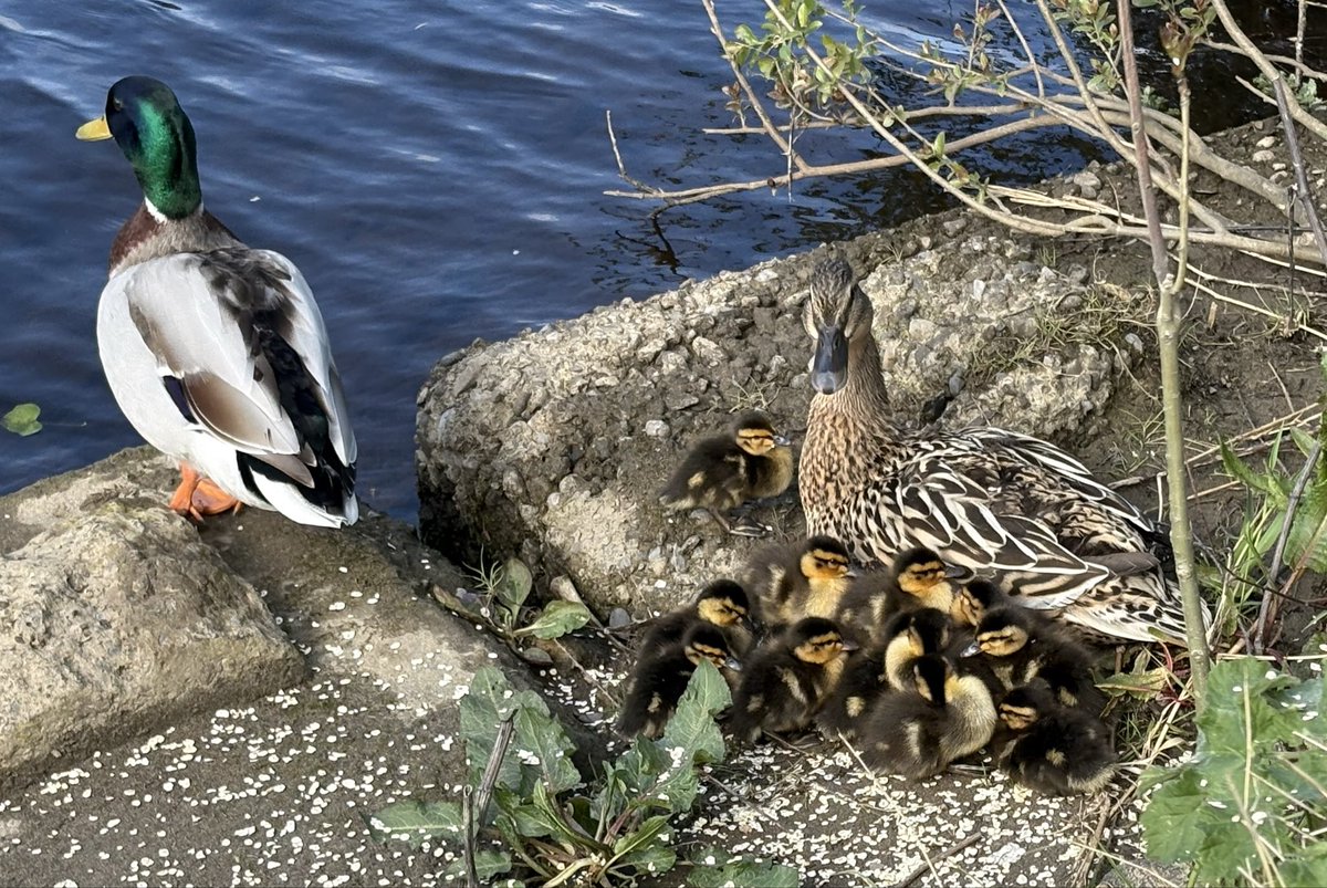 My Lens My Perspective tweet media