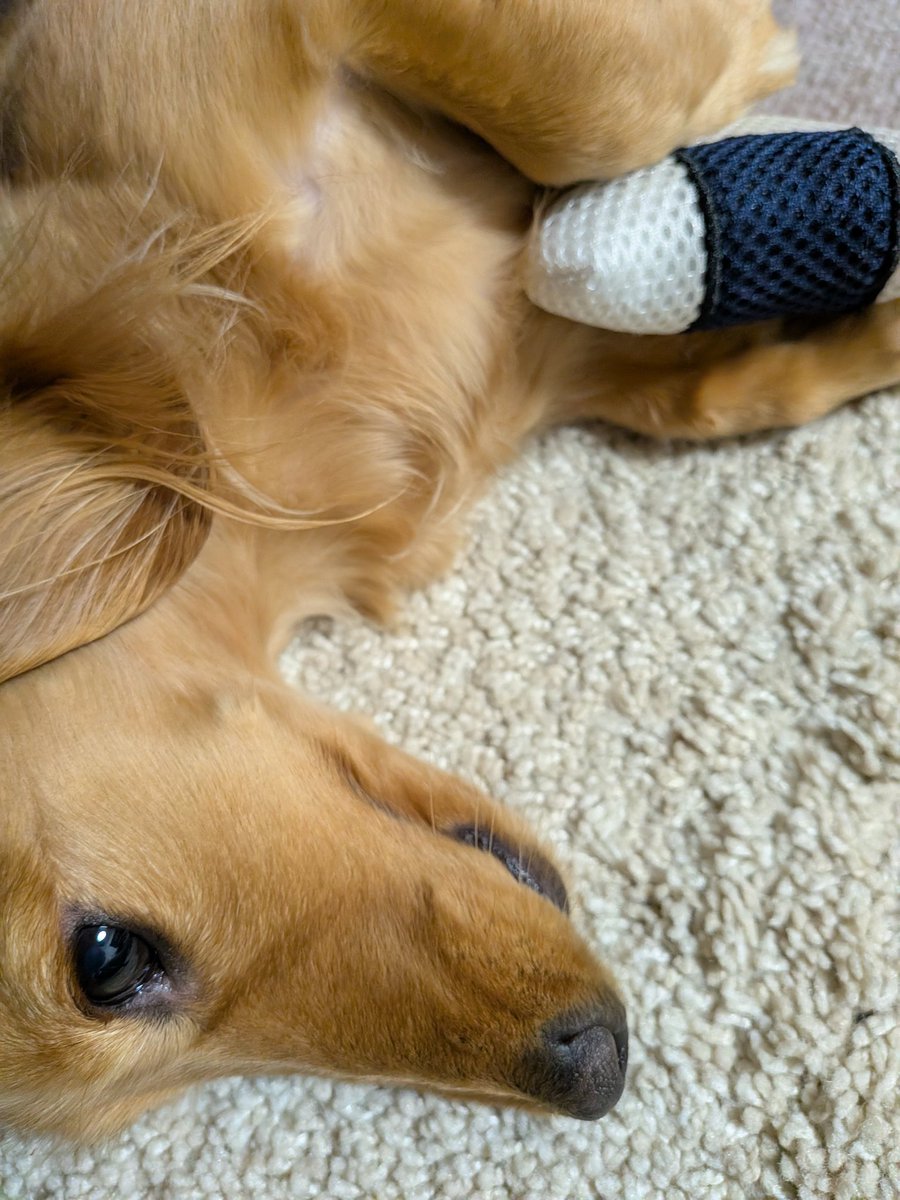 エディス tweet media