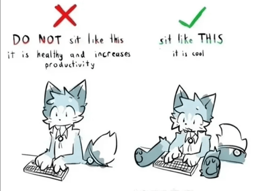 a ౨ৎ⋆˚｡🌸 tweet media