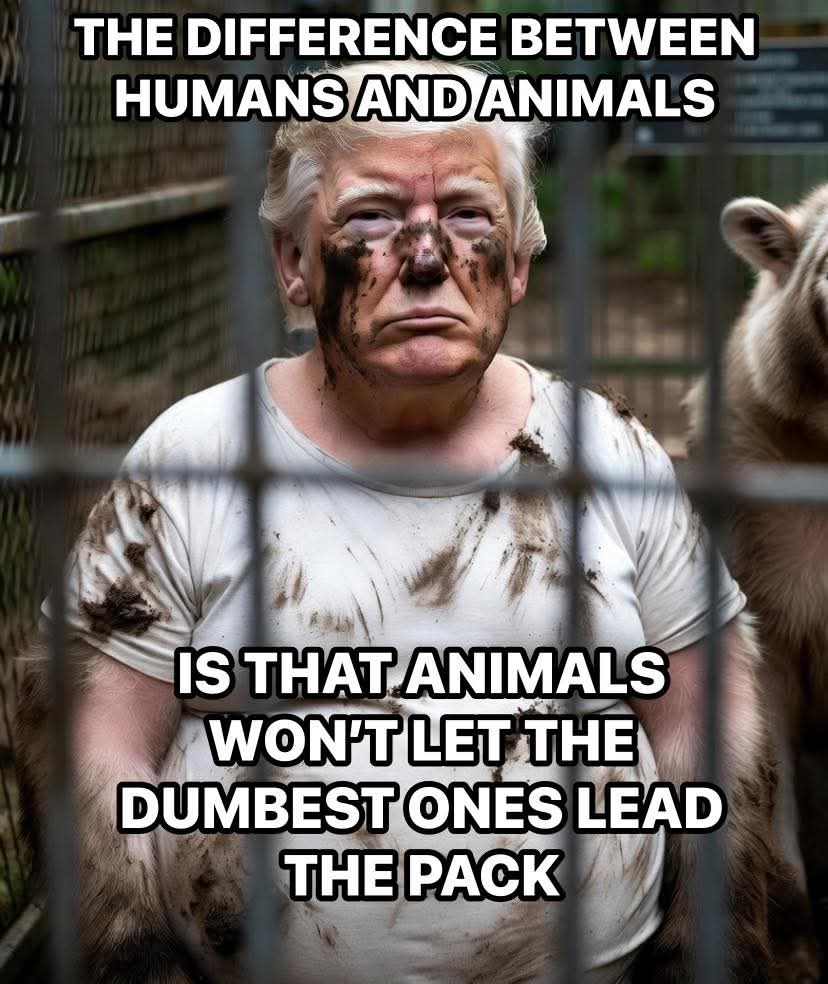 Raven's Reaper tweet media