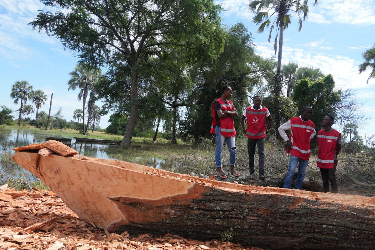 IFRC Africa tweet media