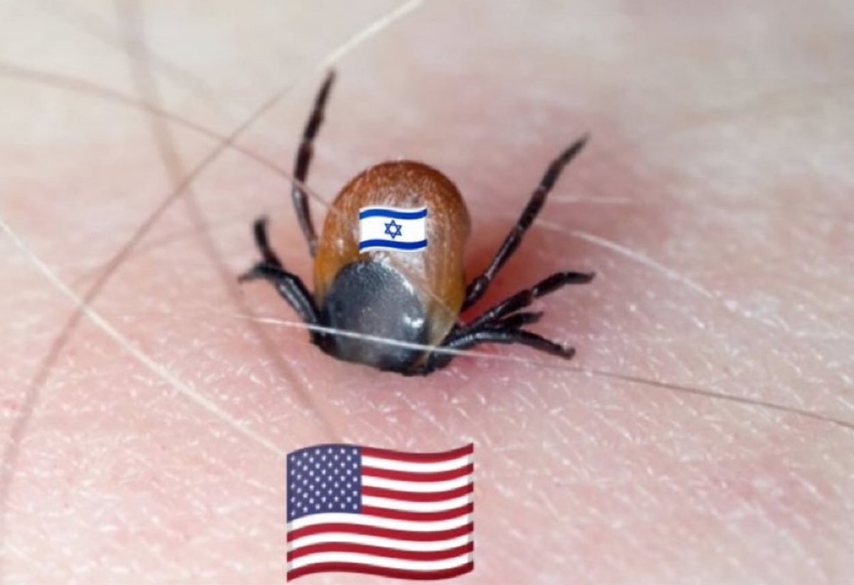 IISpectre's tweet photo. @netanyahu https://t.co/KudME15m2z