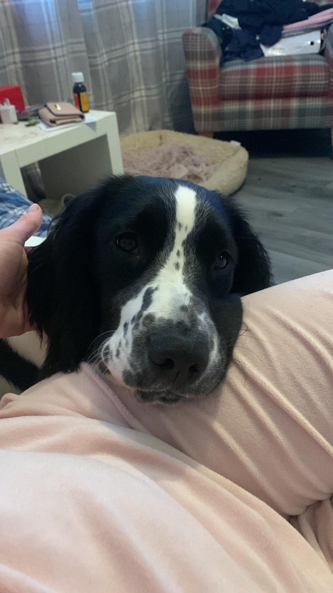 Ann Drogyne tweet media