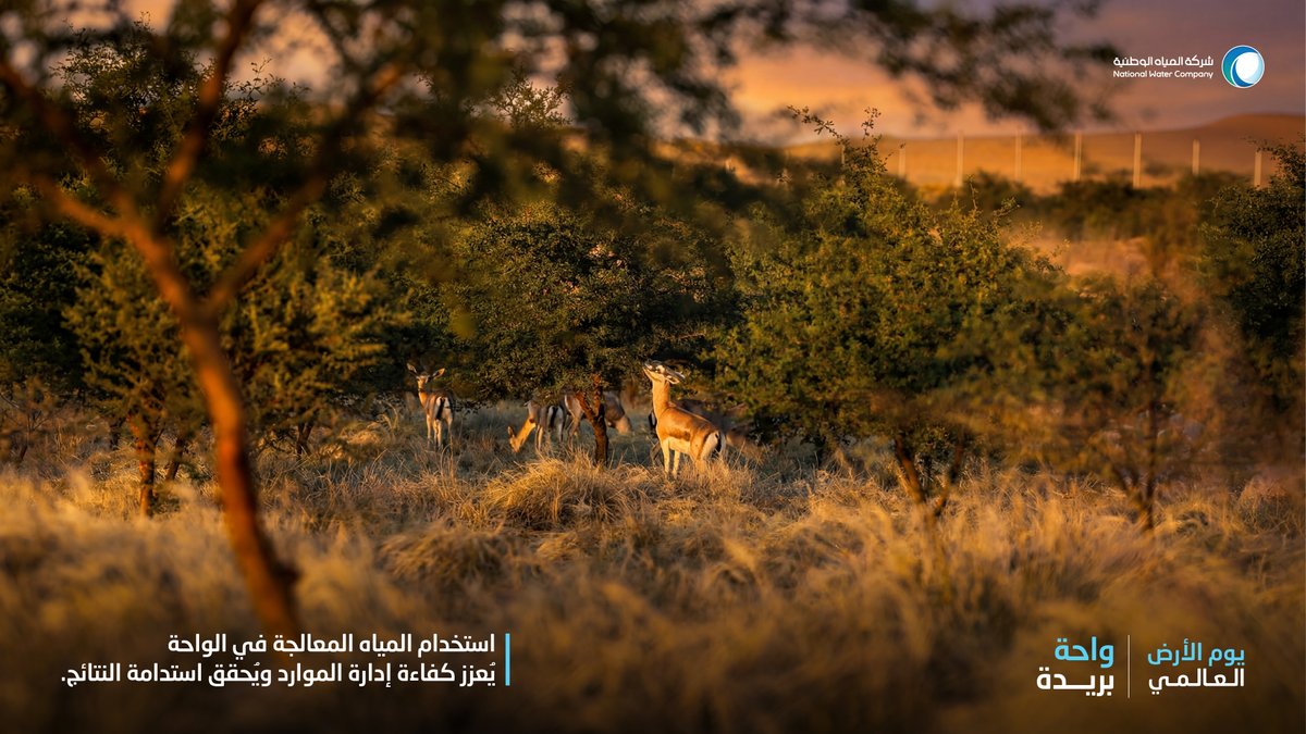 شركة المياه الوطنية tweet media