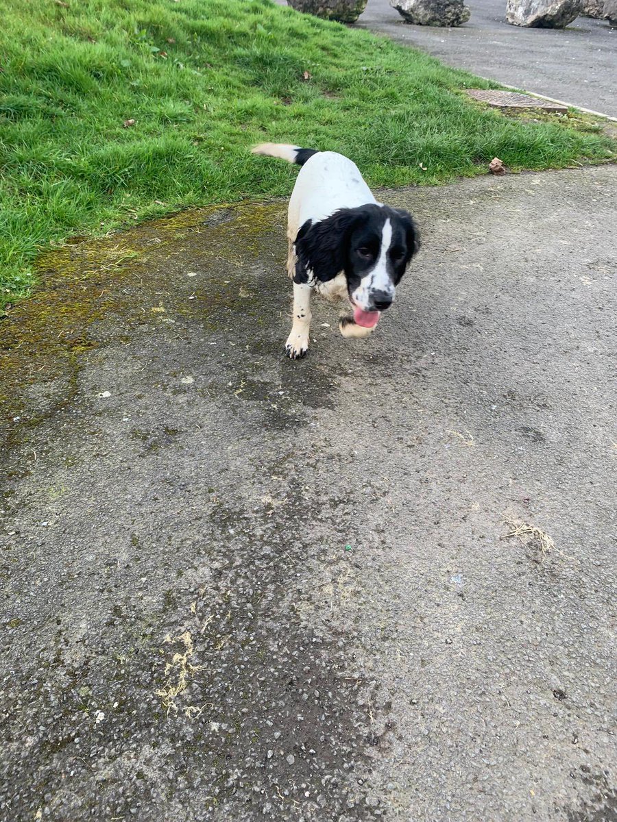 Ann Drogyne tweet media